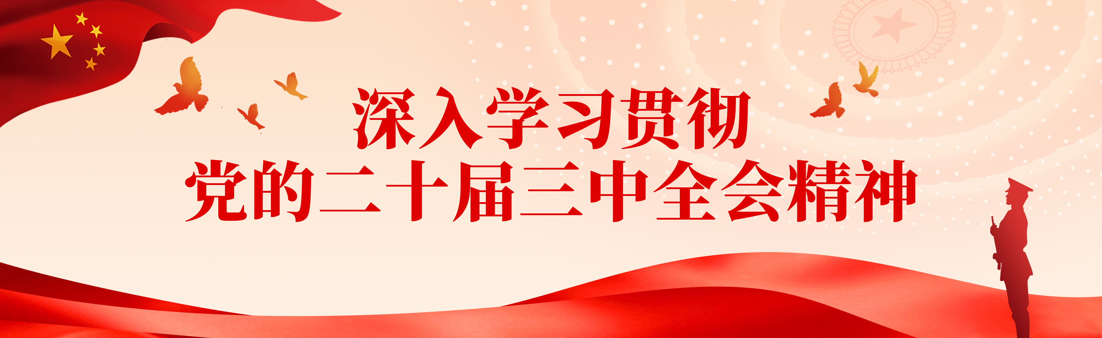 二十届三中全会